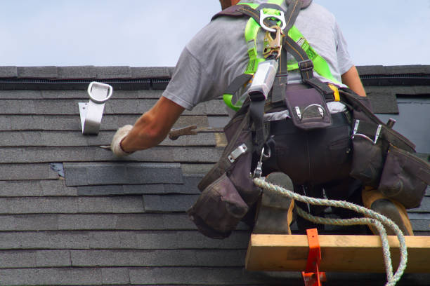 Professional Roofing Contractor in Joliet, IL