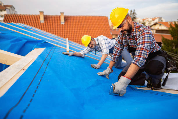Best Storm Damage Roof Repair  in Joliet, IL
